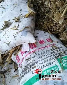 新疆查處首起以飼料鹽為原料制販假食鹽案，飼料原料銷(xiāo)售監(jiān)管引關(guān)注