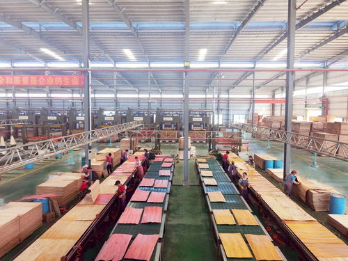 啟陽新材料 勇立潮頭，成為貴港首家獲全國工業(yè)產(chǎn)品生產(chǎn)許可證的飼料原料銷售企業(yè)